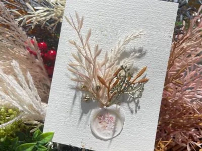 A pressed flower card with a wax seal