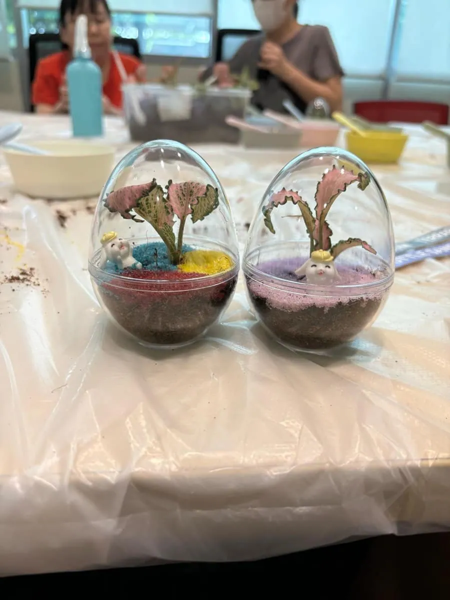 Terrarium Making