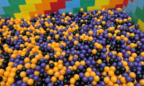 c351f0b9-3568-4010-9194-12ff7a035061